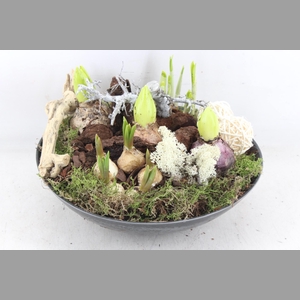 arr4 Bollenmix VL - Kunstst. rond 338/2