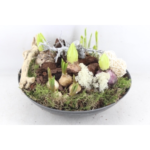 arr4 Bollenmix VL - Kunstst. rond 338/2