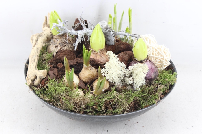 <h4>arr4 Bollenmix VL - Kunstst. rond 338/2</h4>