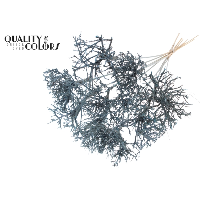 <h4>Dry Tree on stem Frosted Light Blue</h4>