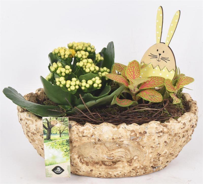 <h4>Cement ovaal kip decor 23x13cm</h4>