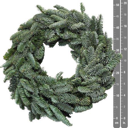 <h4>Wr Nobilis Half 60cm</h4>