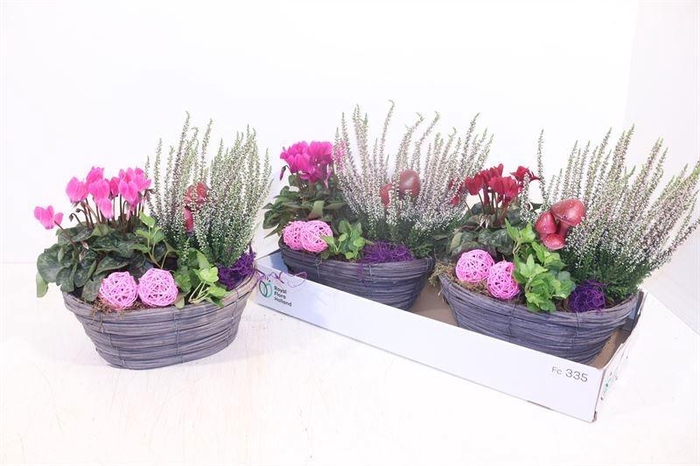 <h4>ARR TUINPLANTEN</h4>