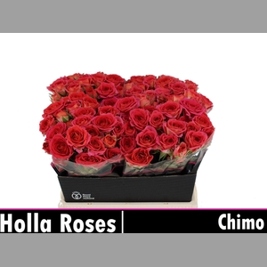 R TR CHIMO