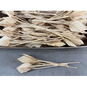 DF Palm Spear Mini Bleached