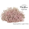 GYPS PA LIGHT PINK