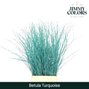 Betula L60 Turquoise