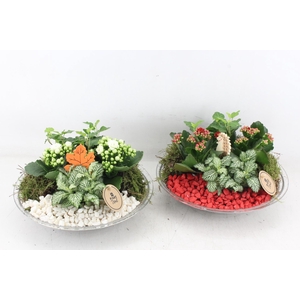 arr2 PL - Glas schaal 27cm - rood/wit