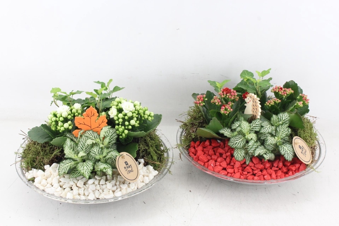 <h4>arr2 PL - Glas schaal 27cm - rood/wit</h4>