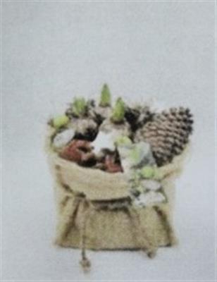 <h4>HY247 XL JUTE ZAK</h4>