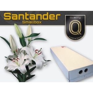 LI OR SANTANDER FLORISTBOX 5+
