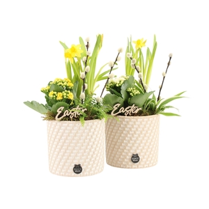 70796: Easter arrangement