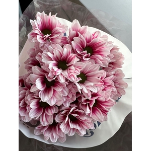 CHR T KENNEDY PINK (PAINTED)