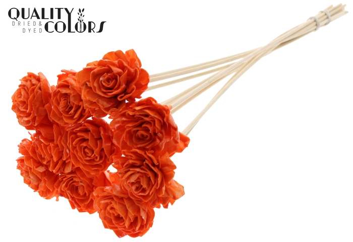 Shola Dahlia 6cm on stem Wax Orange