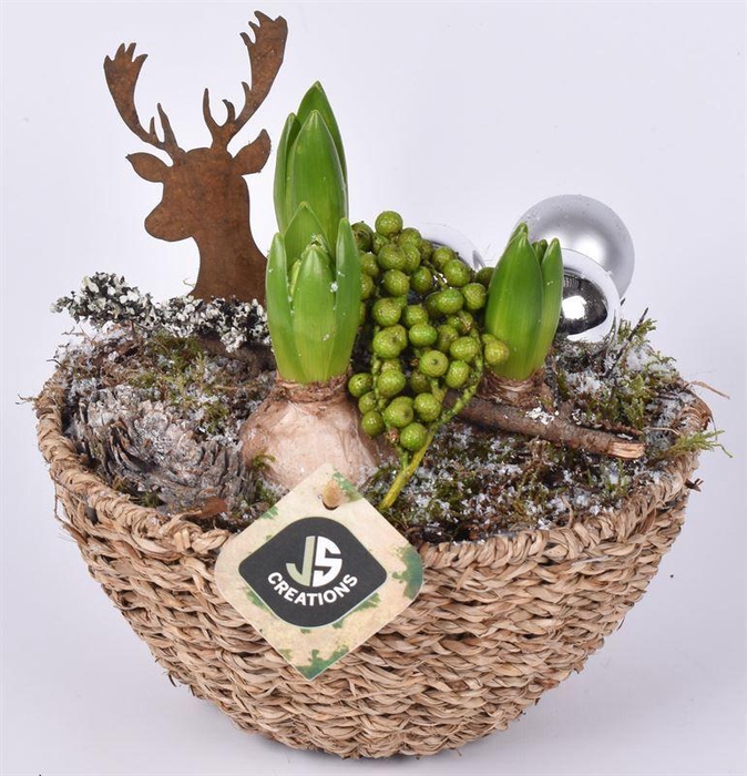 <h4>Touw schaal 20cm</h4>