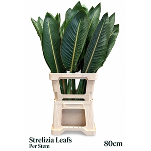 STRELIT BLAD
