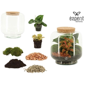 90861: DIY Terrarium Large Lego D17 / H17