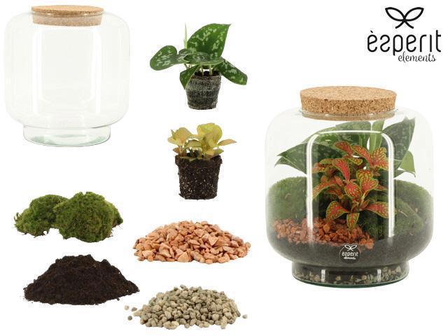 <h4>90861: DIY Terrarium Large Lego D17 / H17</h4>