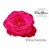 R GR OV NEW VIP VILLA FARIOLA