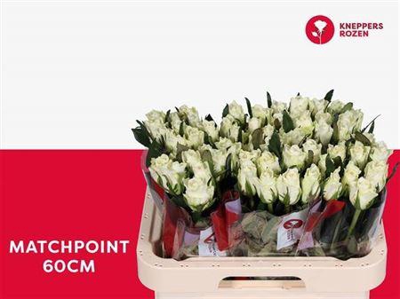 <h4>R Gr Matchpoint!</h4>