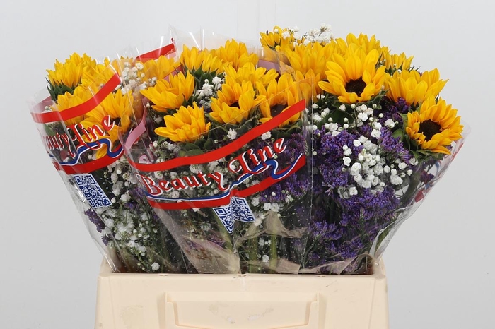 <h4>Boeket - Gemengd Zomer</h4>