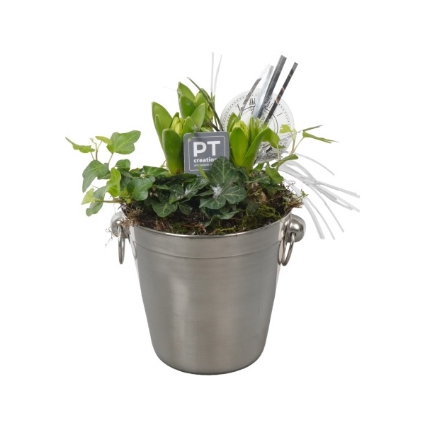 <h4>PTON5118 Arrangement New Year in metaal emmer</h4>