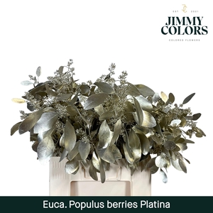 Pop bes per bos 200g Platina