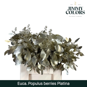 Pop Bes Per Bos 200g Platina