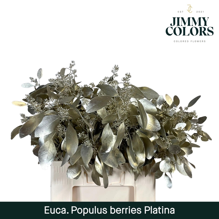 <h4>Pop bes per bos 200g Platina</h4>