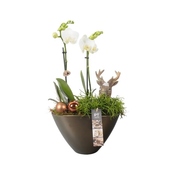 <h4>PTKB9355 Arrangement Kerst in keramiek pot</h4>