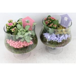 arr2 PL - Glas op voet x6 - lila/roze