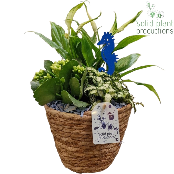 <h4>SP012 Sabine Blue Basket</h4>