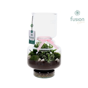 Green Bottle Lotte Large met Moederdag arrangement