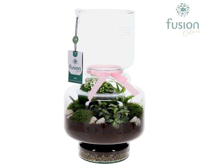 <h4>Green Bottle Lotte Large met Moederdag arrangement</h4>