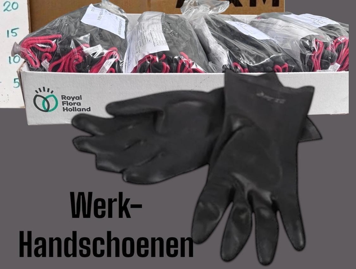 <h4>HUIS EN TUINDECO H%</h4>
