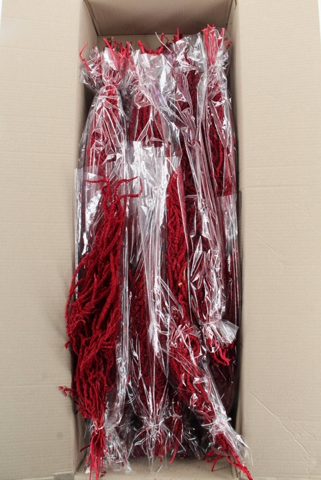 <h4>PF Amaranthus Hang Bordeaux Bs</h4>