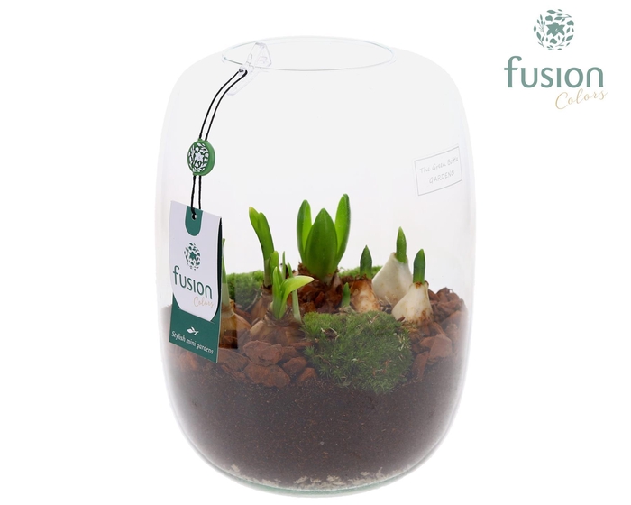 <h4>Green Bottle Isabella Large met Bollen mix</h4>