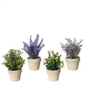 Kunstplanten Plant d08*18cm ass.