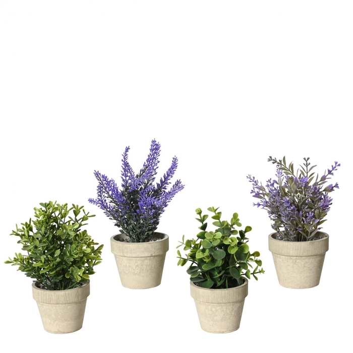 <h4>Kunstplanten Plant d08*18cm ass.</h4>