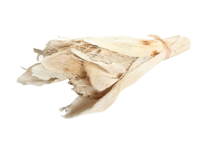 <h4>Deco Bundle Palm Bakla 10pcs X4</h4>