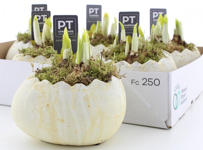 <h4>ARR N TETE A TETE</h4>