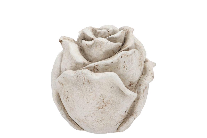 Concrete Saint Antique Rose 11x11x11cm Nm