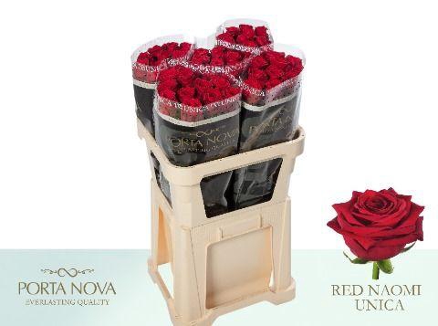 <h4>R Gr Red Naomi! Unica 80 Rauw</h4>