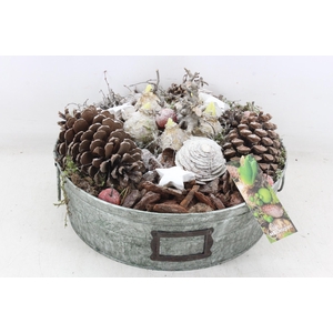 arr4 Hyacint MB - Zink green XL red