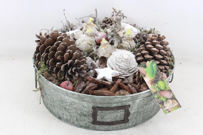 <h4>arr4 Hyacint MB - Zink green XL red</h4>