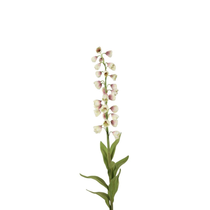 <h4>Fritillaria 94cm</h4>