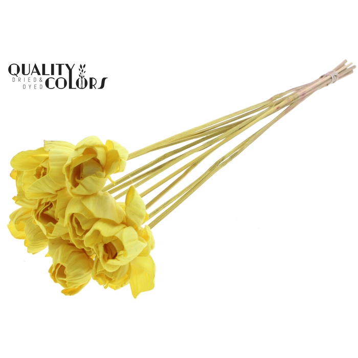 <h4>Shola Dear Holly 6cm on stem Yellow</h4>