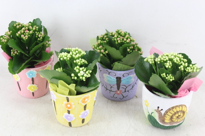 <h4>arr2 JS - Keramiek pot nature mix</h4>