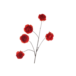 Cabbage Rosa Spray Orange