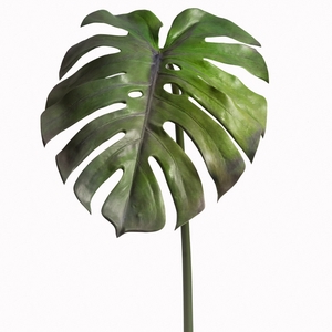 Af Monstera Blad L110cm Groen